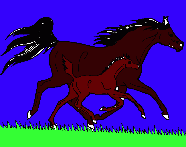 Arabian horse and foal coloring page