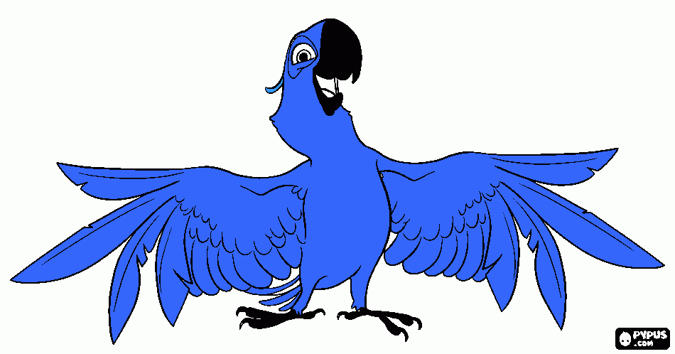 bird coloring page