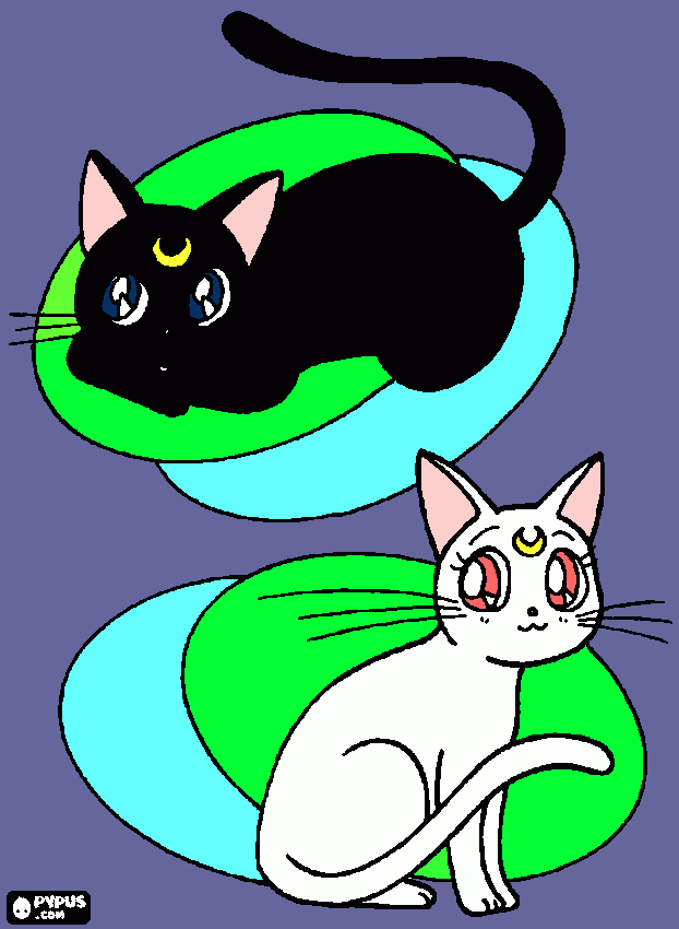 cats sailor coloring page