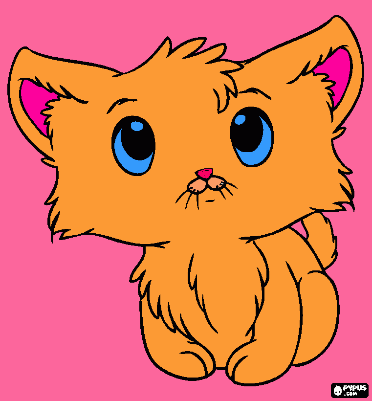 Chloe the kitten coloring page