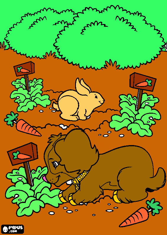 conejo coloring page