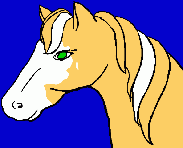 Cool Horse coloring page