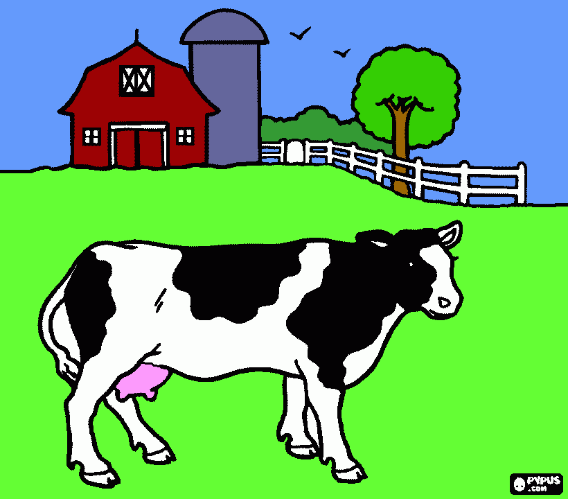 cow! coloring page