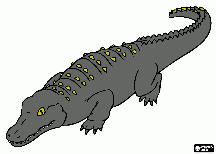 Crocodile coloring page
