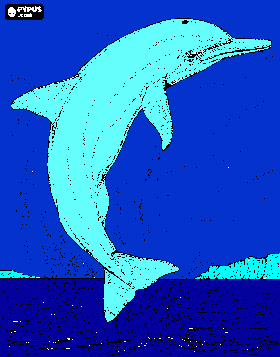 delfin go coloring page