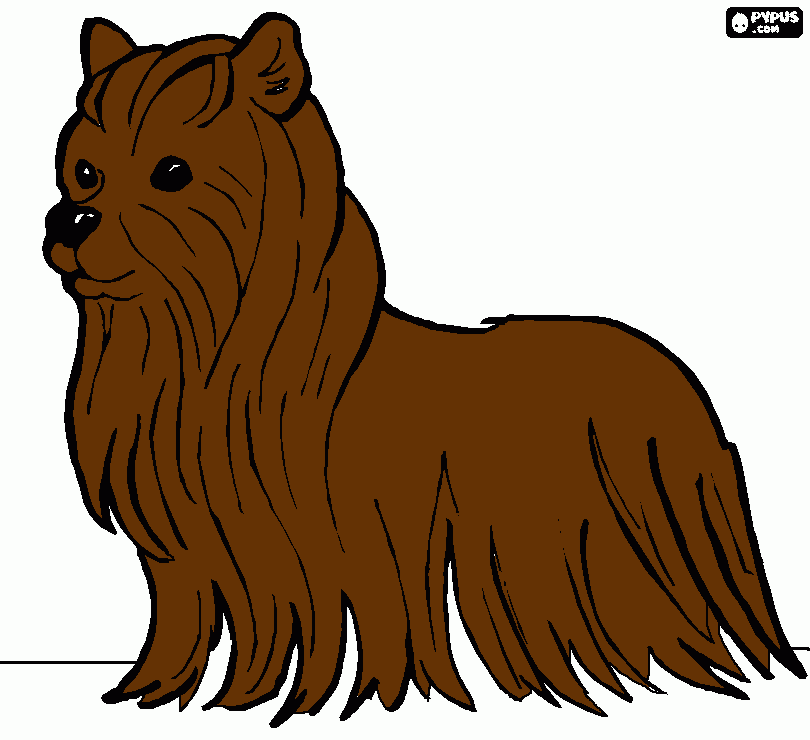 dogie coloring page