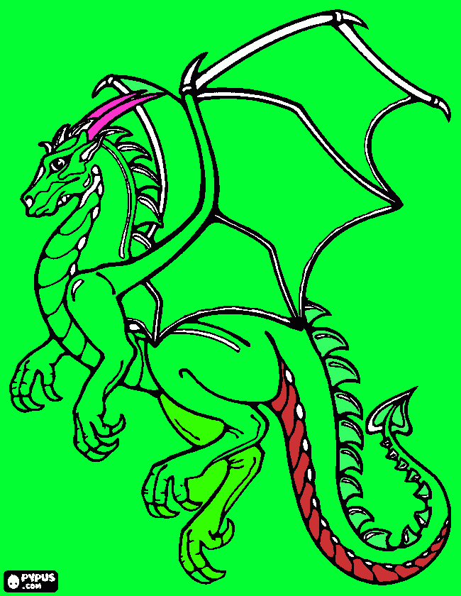 Drache coloring page