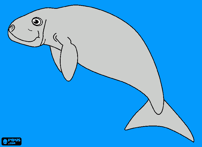 dugong animal coloring page