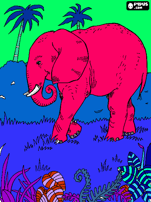 Ellie the elephant! coloring page