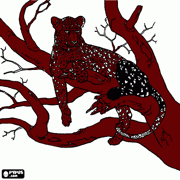 grrrrrr coloring page