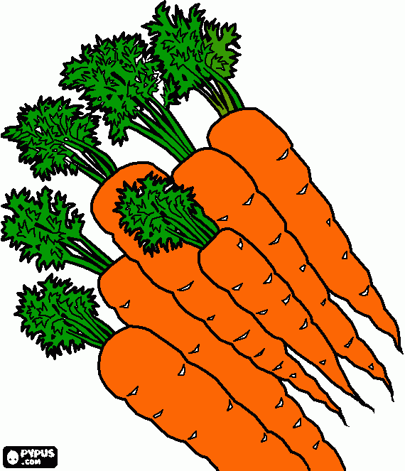 havuç coloring page