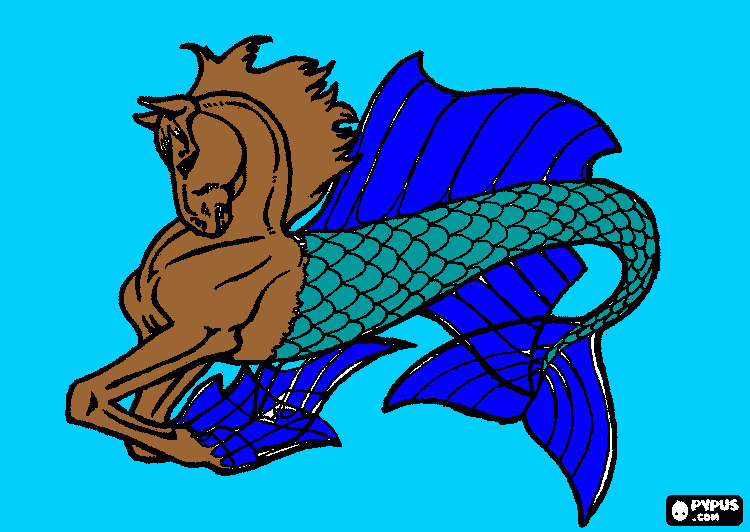 Hippocampus coloring page