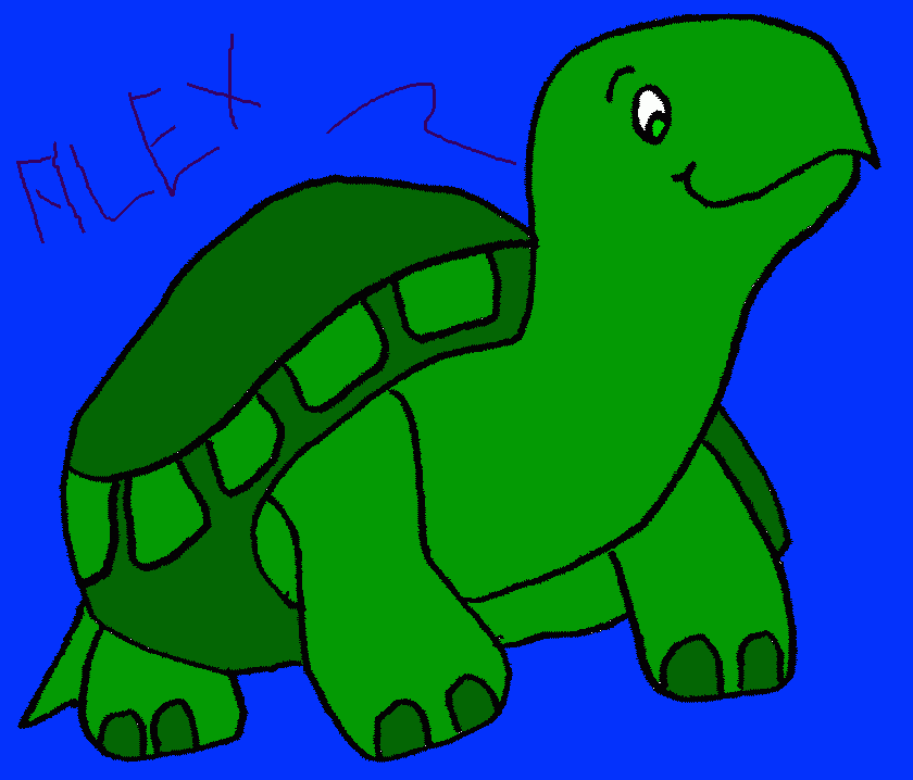 hola  tortuga coloring page