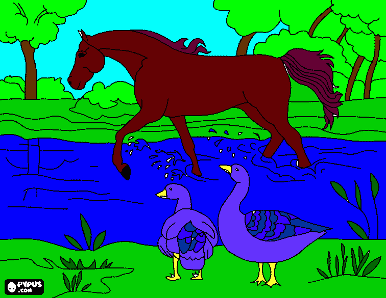 horse and ducks coloring page