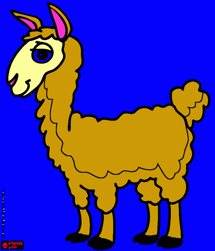 Lama coloring page