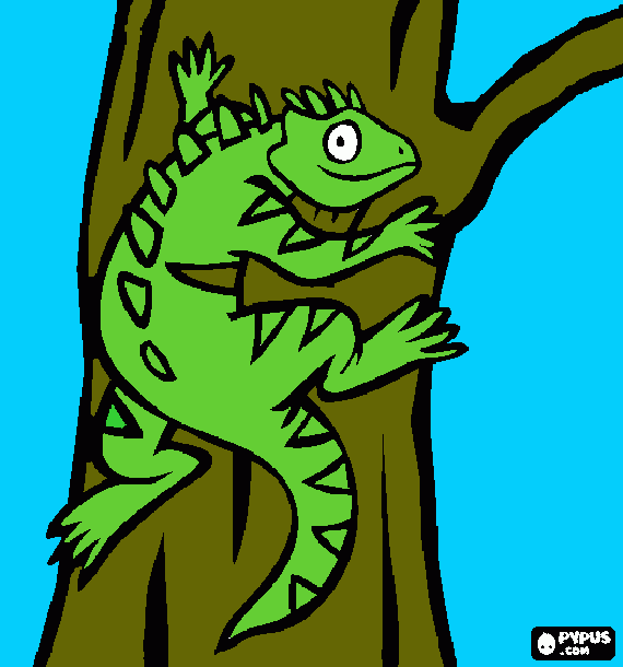 lizard coloring page