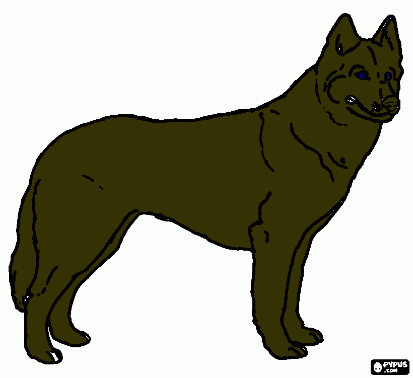 lupul meu coloring page