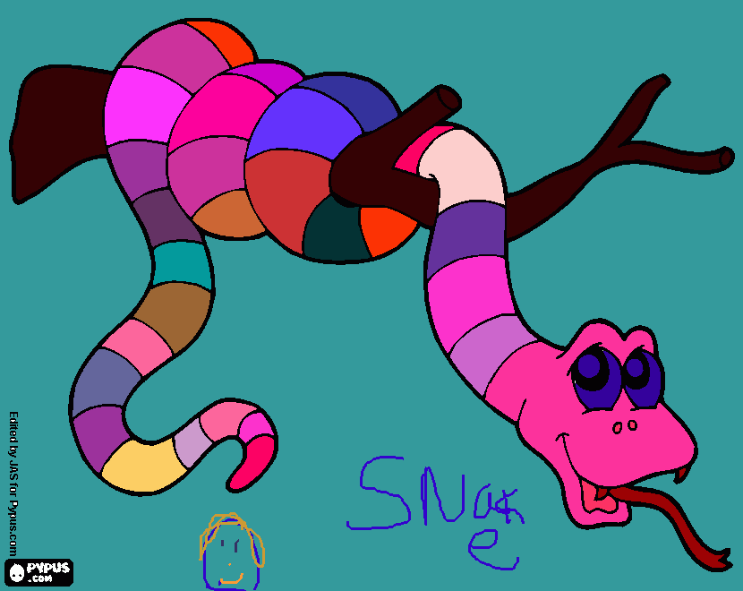 master boa coloring page
