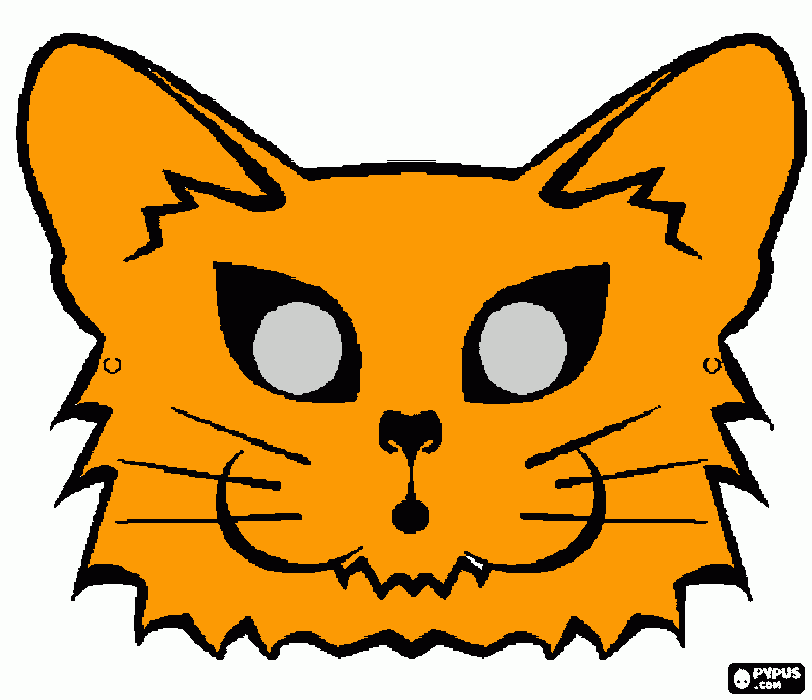 mi gato hermoso coloring page