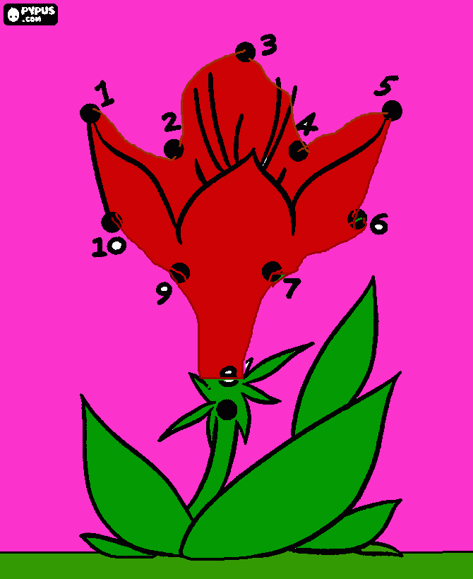 niya coloring page