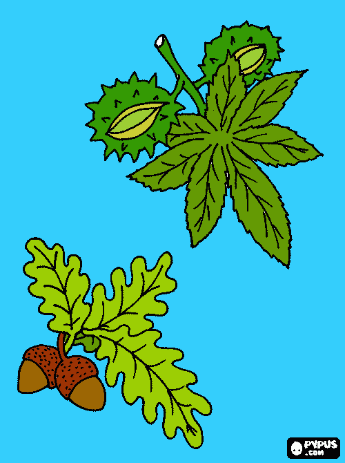 nuts coloring page