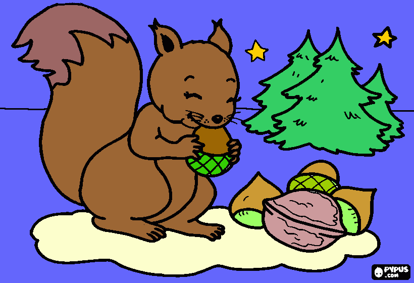 o veverita coloring page