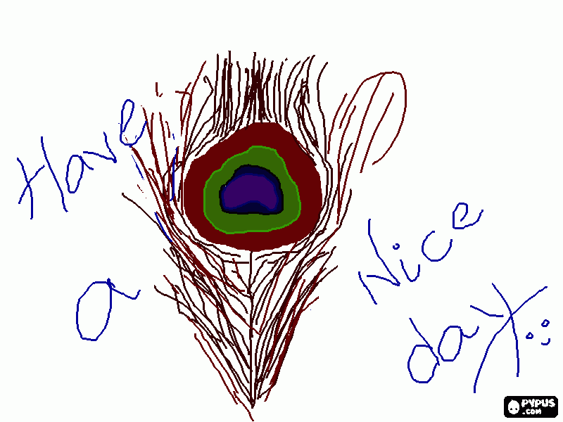 Peacock feather coloring page