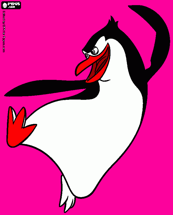 pingwin coloring page