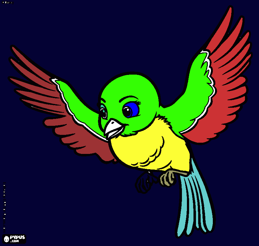 please print for Sligo coloring page