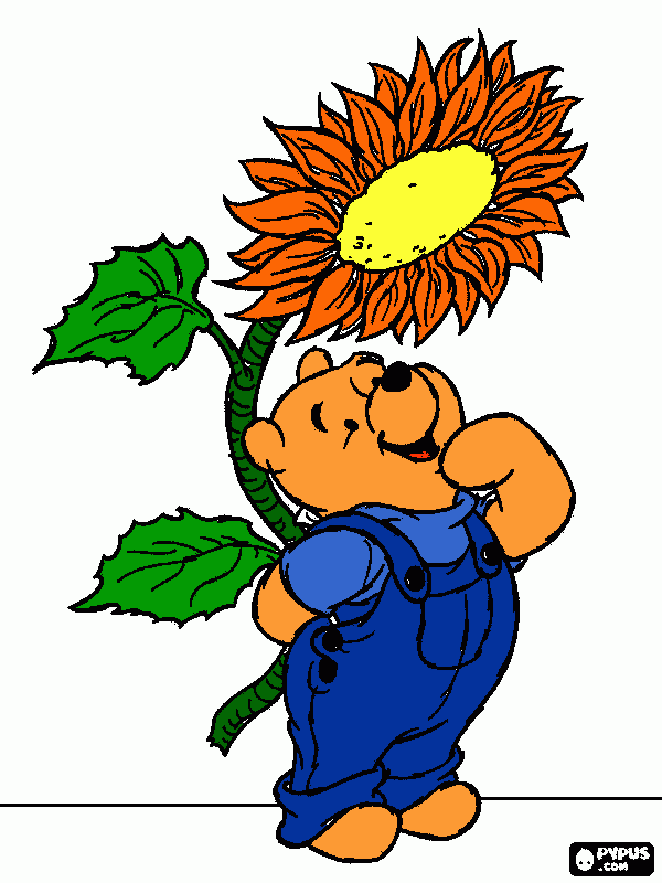pooh bear coloring page