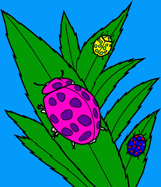 rainbow ladybugs coloring page
