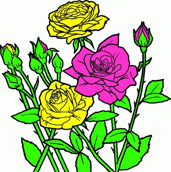 Roses coloring page