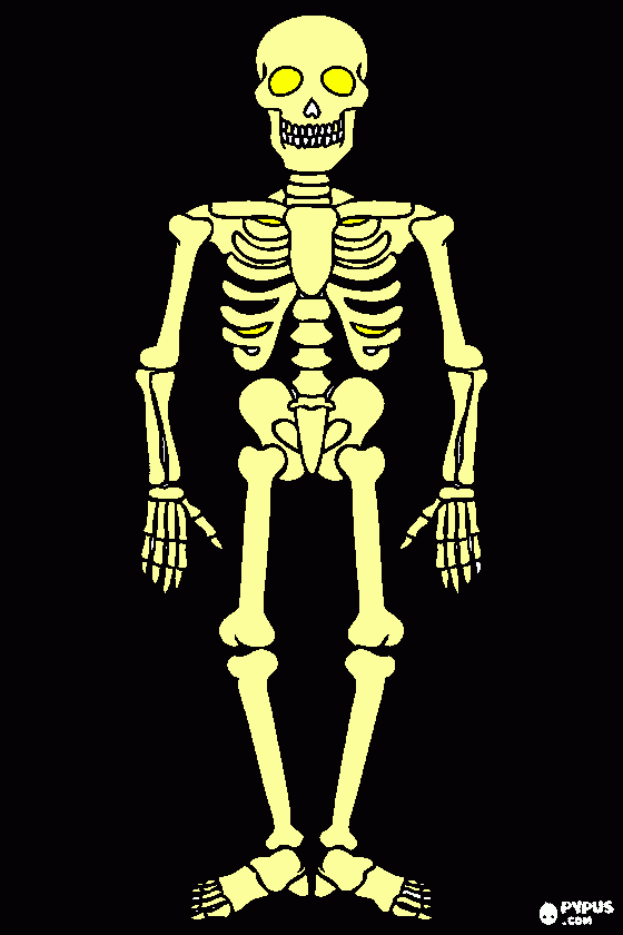 schelet coloring page
