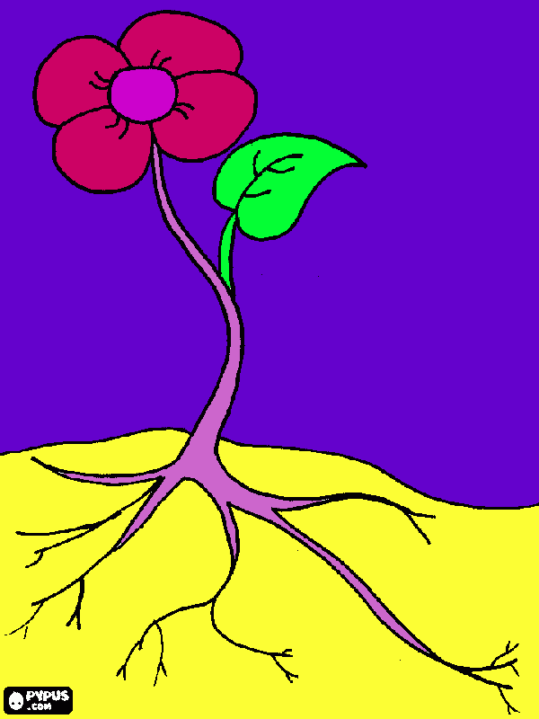 science of flower coloring page