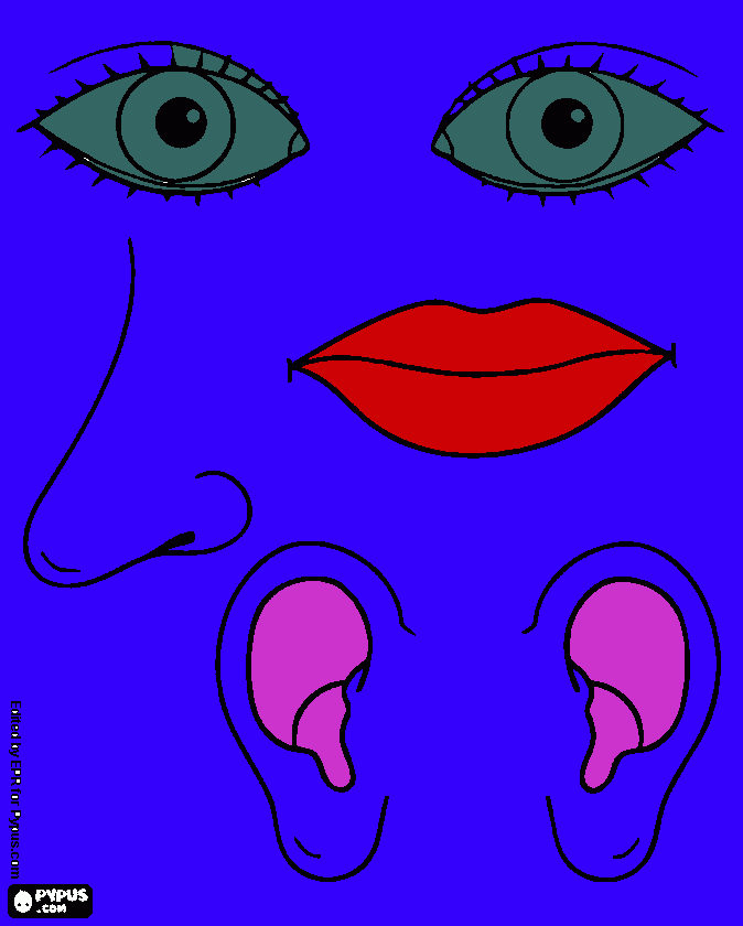 see taste hear and smell coloring page