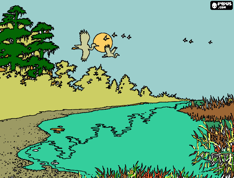 stream coloring page