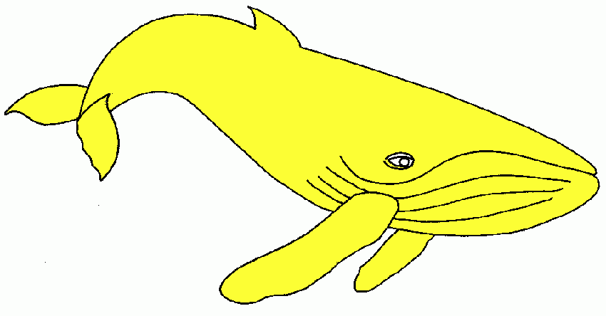 tiburon coloring page