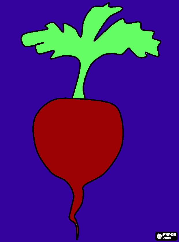 turmip coloring page