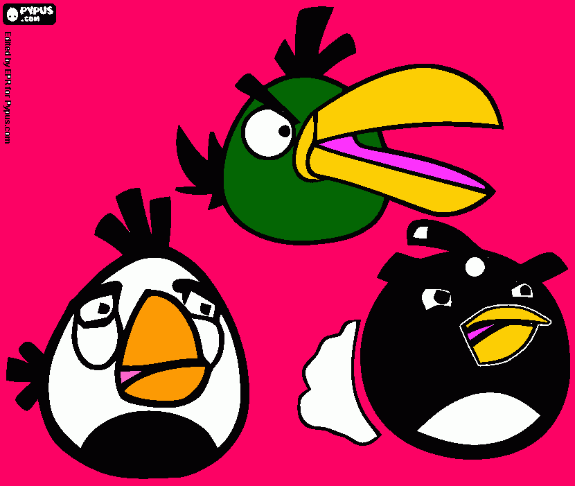 wills brds coloring page
